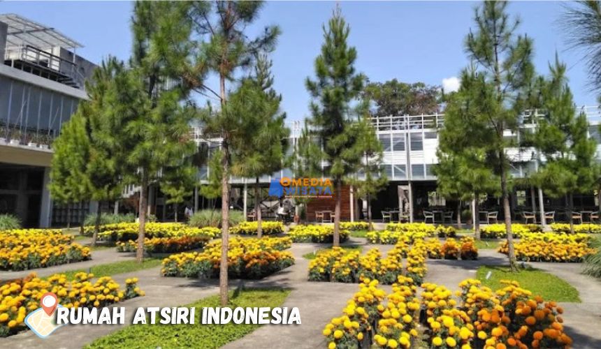 Rumah Atsiri Indonesia